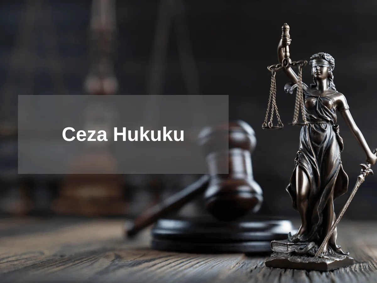 Ceza Avukatı